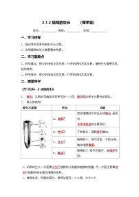 初中生物人教版（2024）七年级下册（2024）植株的生长学案设计