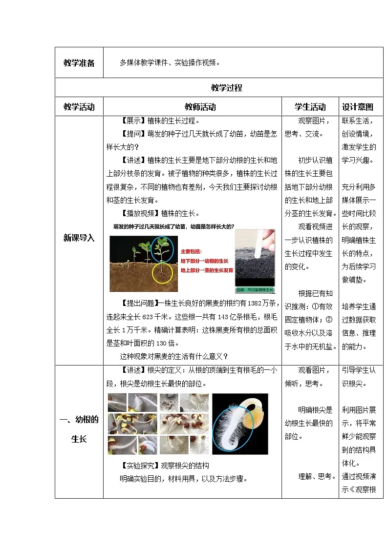 3.1.2 植株的生长（教学设计）初中生物人教版（2024）七年级下册第2页