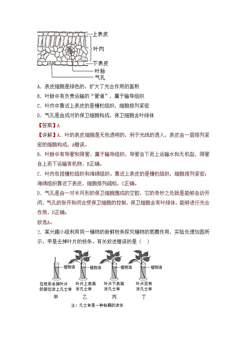 3.2.1 水的利用与散失（导学案）（解析版）初中生物人教版（2024）七年级下册第3页