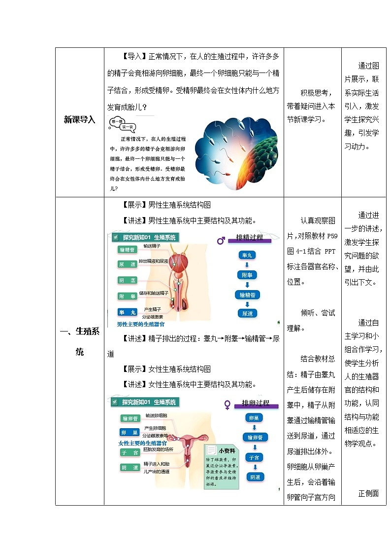 4.1.1 人的生殖（教学设计）初中生物人教版（2024）七年级下册第2页