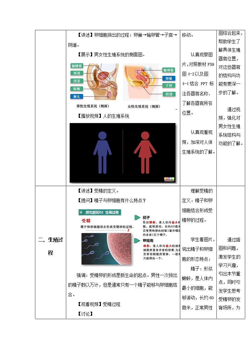 4.1.1 人的生殖（教学设计）初中生物人教版（2024）七年级下册第3页