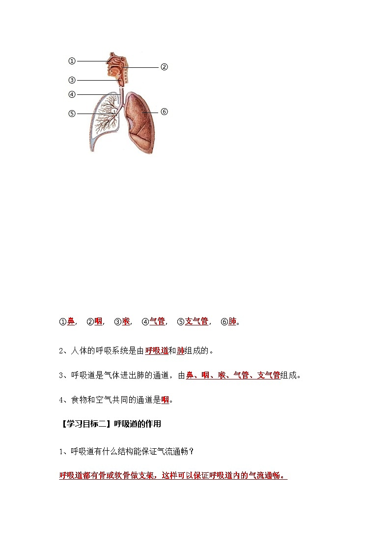4.3.1 呼吸道对空气的处理（导学案）（解析版）初中生物人教版（2024）七年级下册第2页