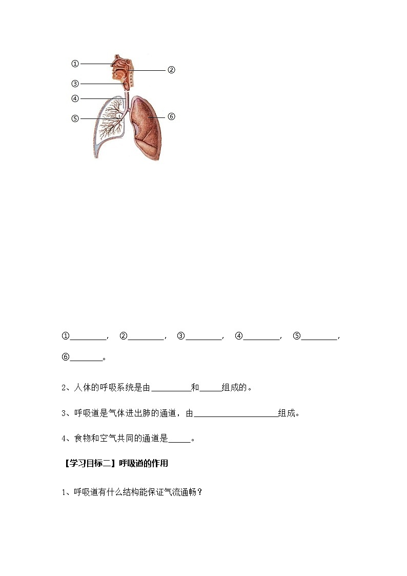 4.3.1 呼吸道对空气的处理（导学案）（原卷版）初中生物人教版（2024）七年级下册第2页