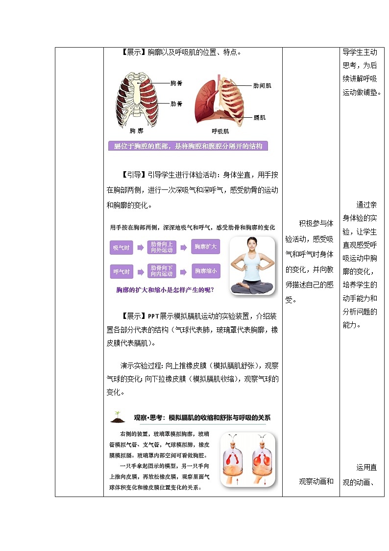 4.3.2 发生在肺内的气体交换（教学设计）初中生物人教版（2024）七年级下册第3页