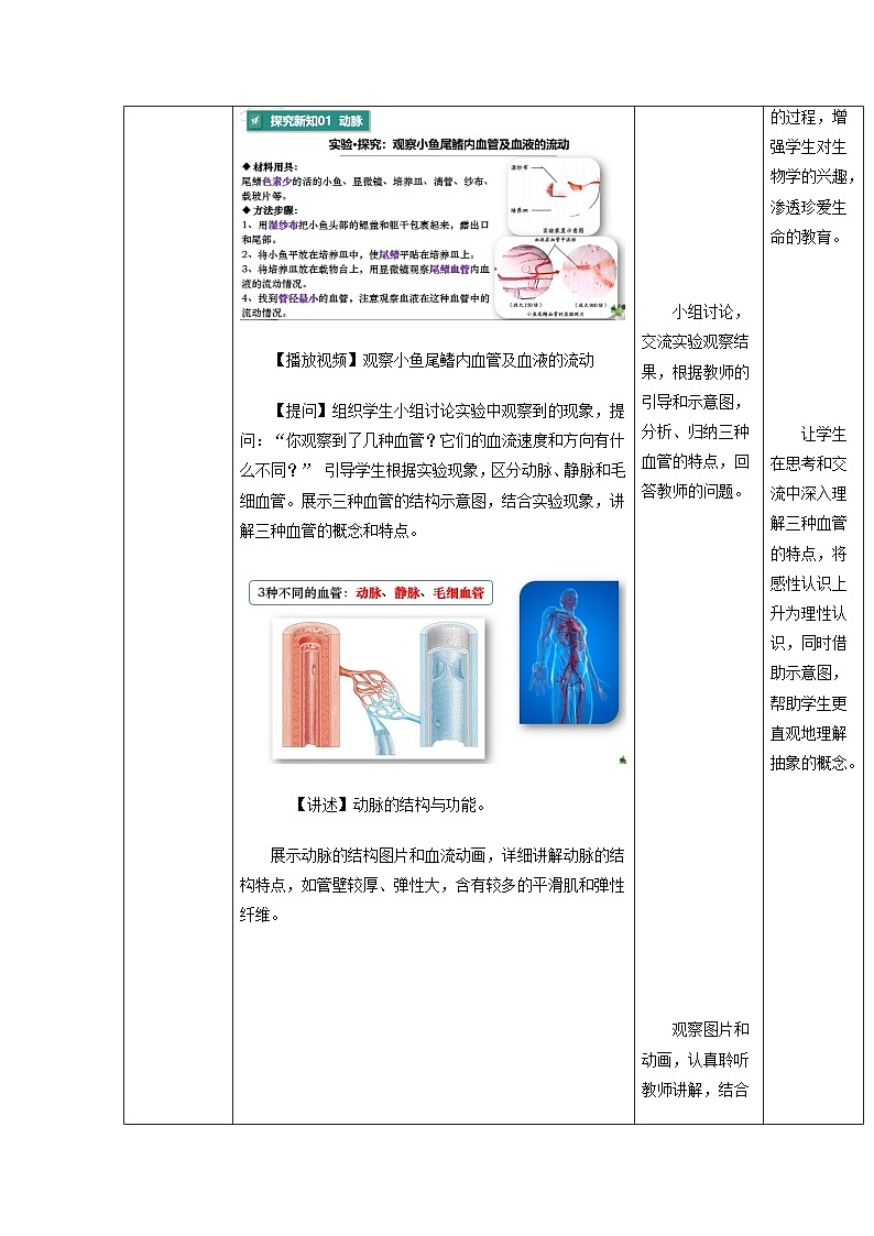 4.4.2 血流的管道——血管（教学设计）初中生物人教版（2024）七年级下册第3页