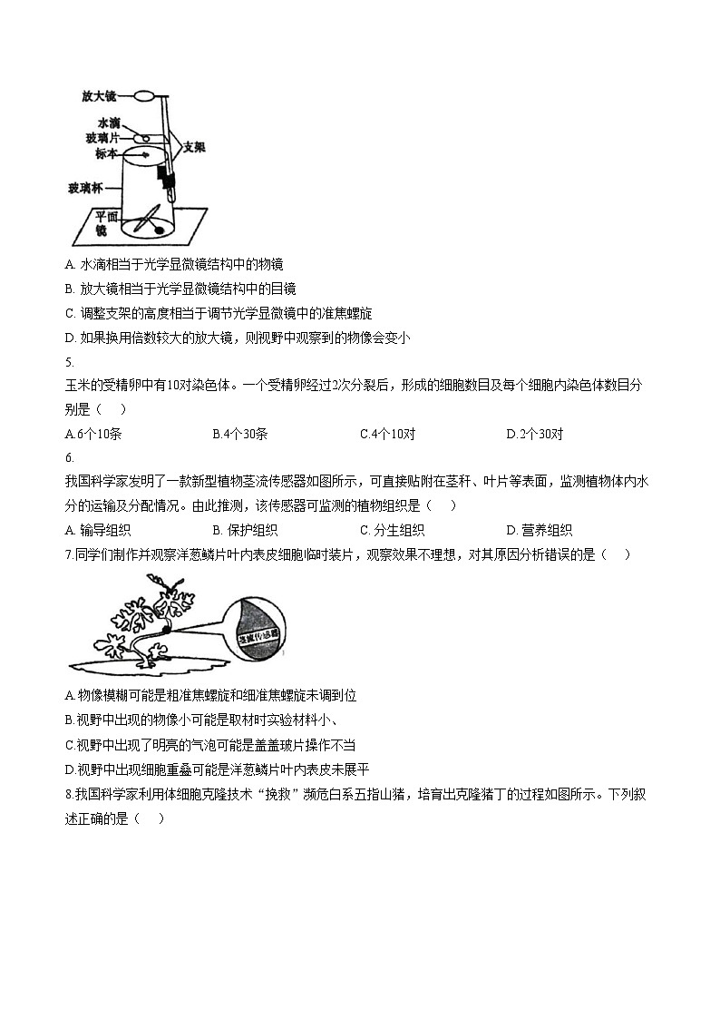 河南省郑州市高新区八一中学2025_2026学年上学期七年级期末调研生物试卷（文字版，含答案）第2页