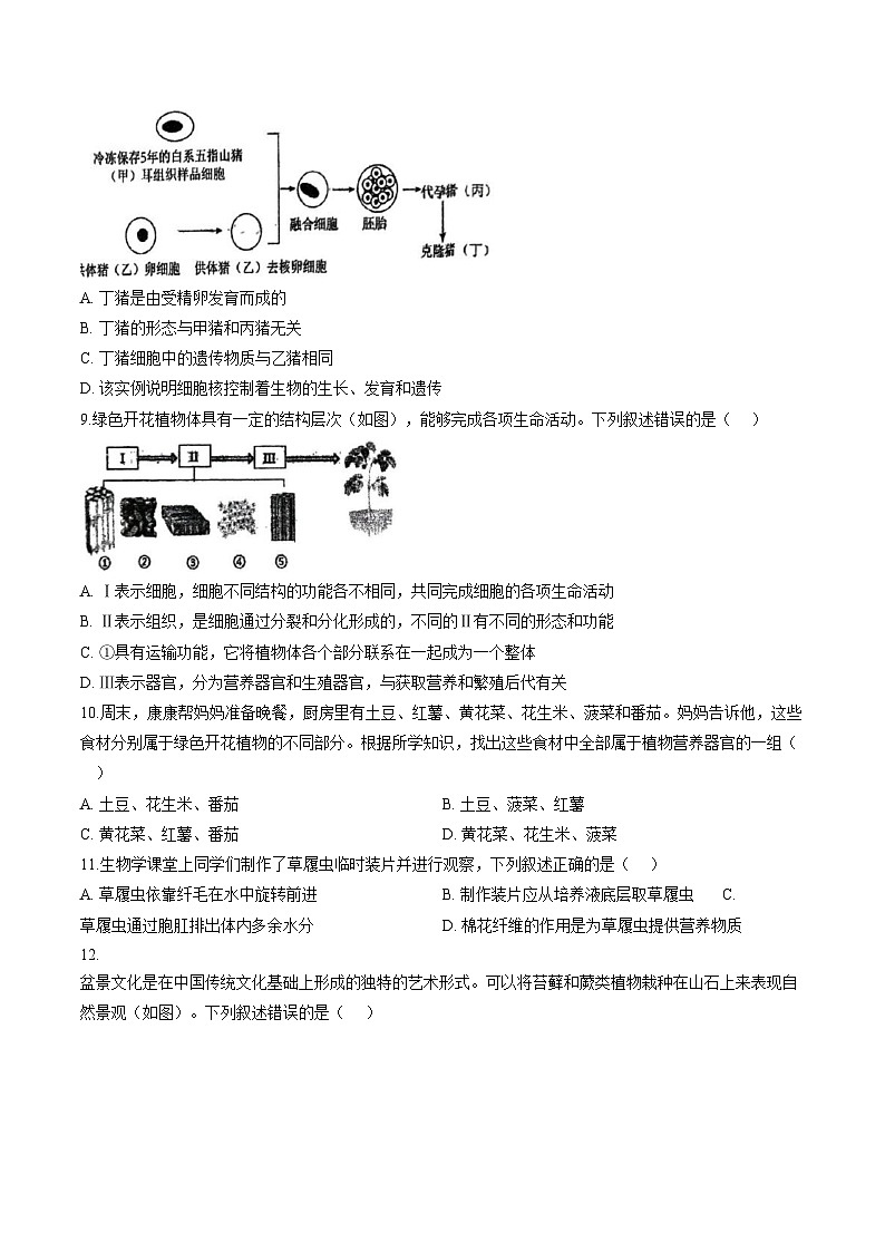 河南省郑州市高新区八一中学2025_2026学年上学期七年级期末调研生物试卷（文字版，含答案）第3页