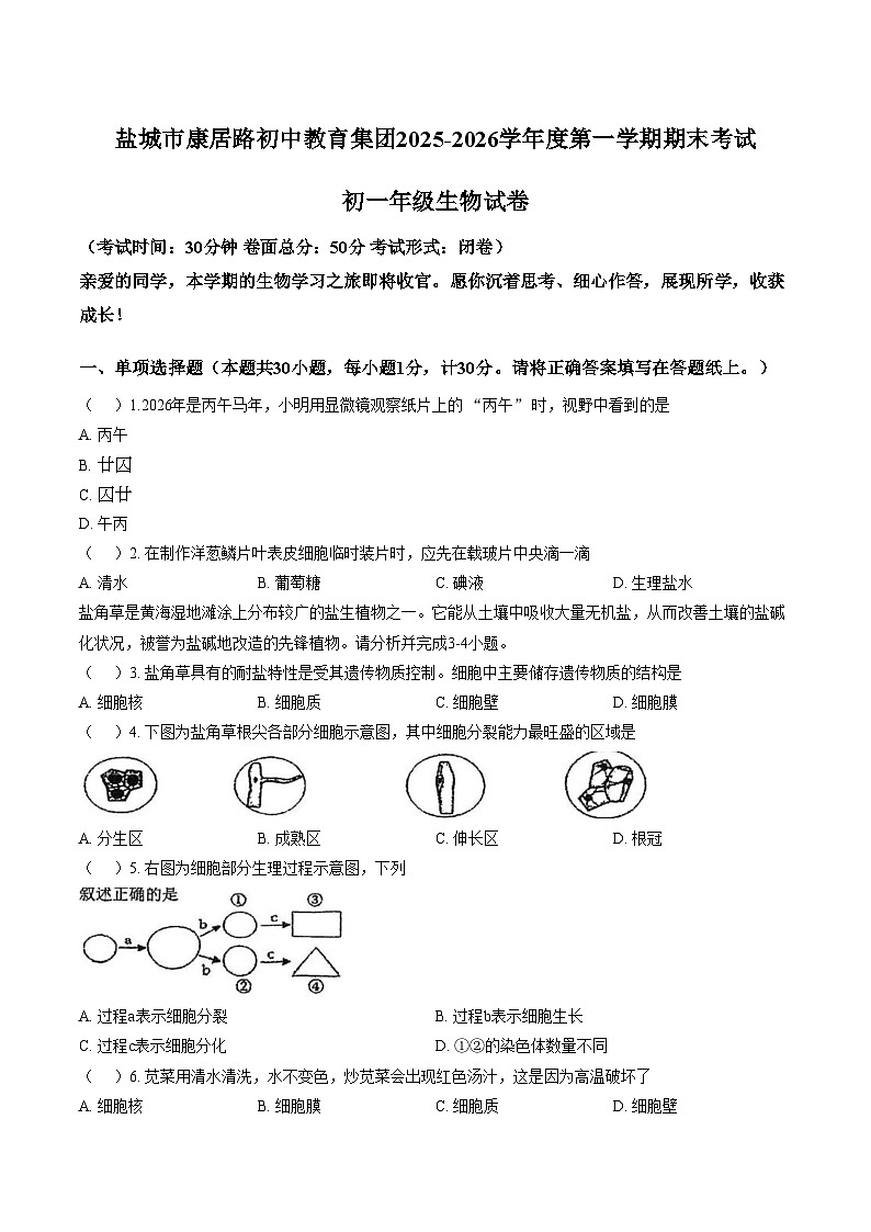江苏省盐城市康居路初中教育集团2025_2026学年度第一学期期末考试七年级生物试题（文字版，含答案）第1页