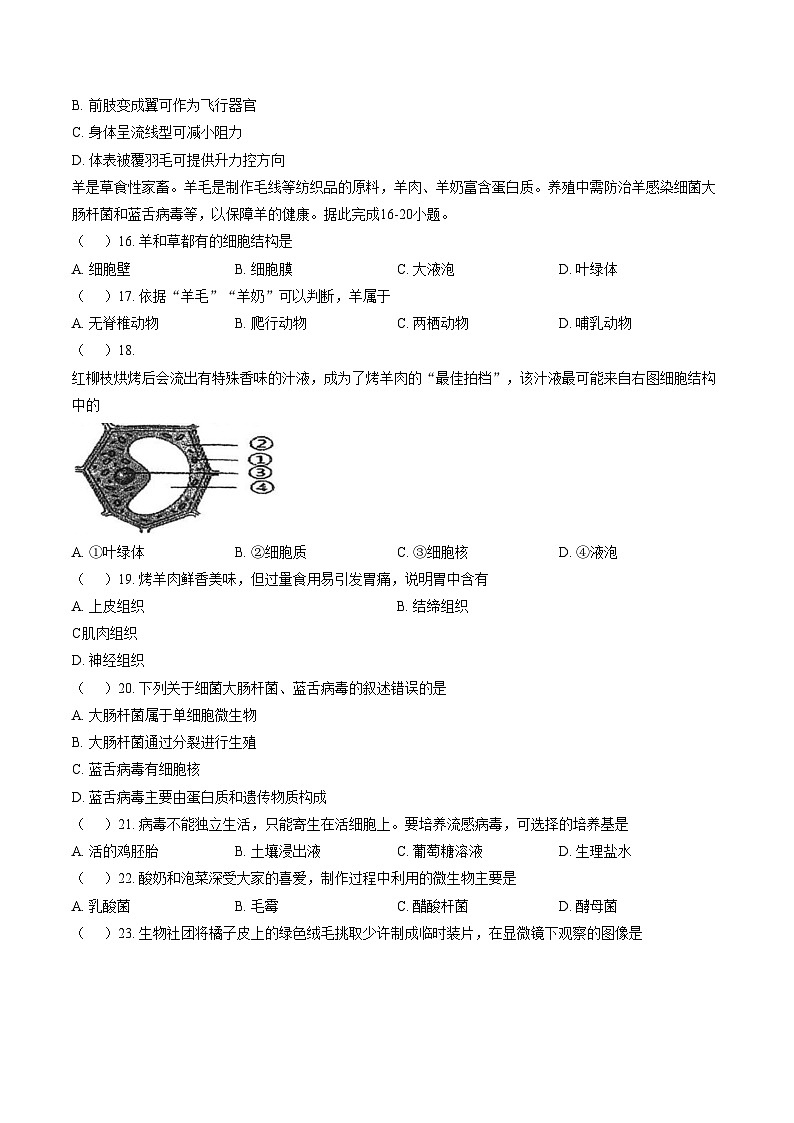 江苏省盐城市康居路初中教育集团2025_2026学年度第一学期期末考试七年级生物试题（文字版，含答案）第3页