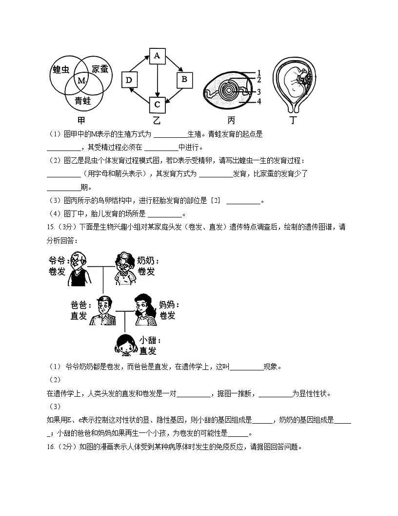 辽宁省铁岭市开原市2025_2026学年八年级上学期第三次月考生物试卷（文字版，含答案）第3页