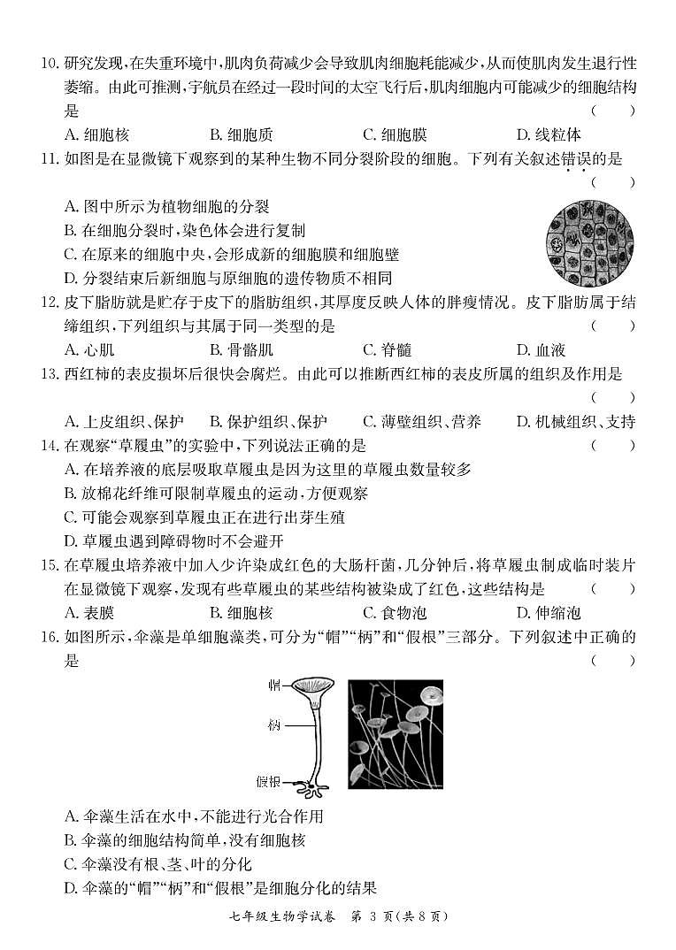 广东省河源市龙川县七年级上学期期末考试生物试题第3页
