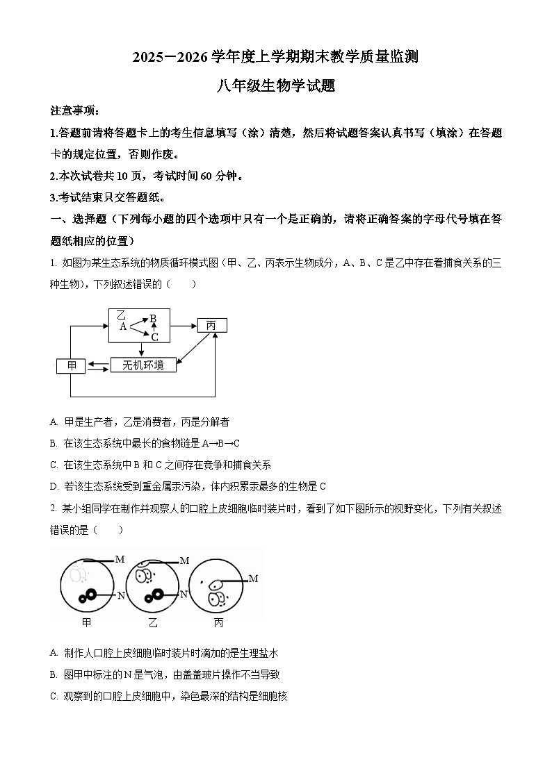 山东泰安市肥城市2025-2026学年度上学期期末教学质量监测八年级生物学试题（试卷+解析）第1页