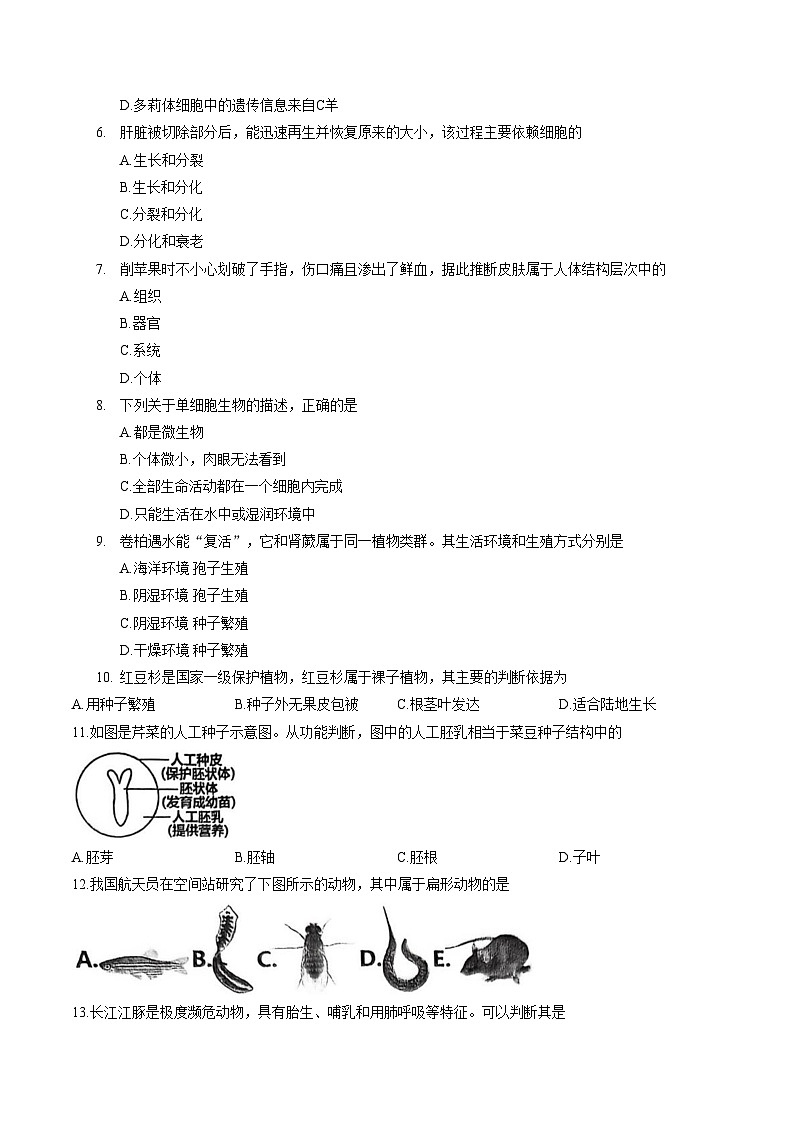 河南信阳市平桥区2025_2026学年上学期七年级生物期末质量调研试卷（文字版，含答案）第2页