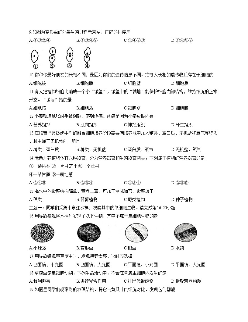 广东省河源市龙川县老隆镇附城中学2025_2026学年七年级上学期期中考试生物试题（文字版，含答案）第2页
