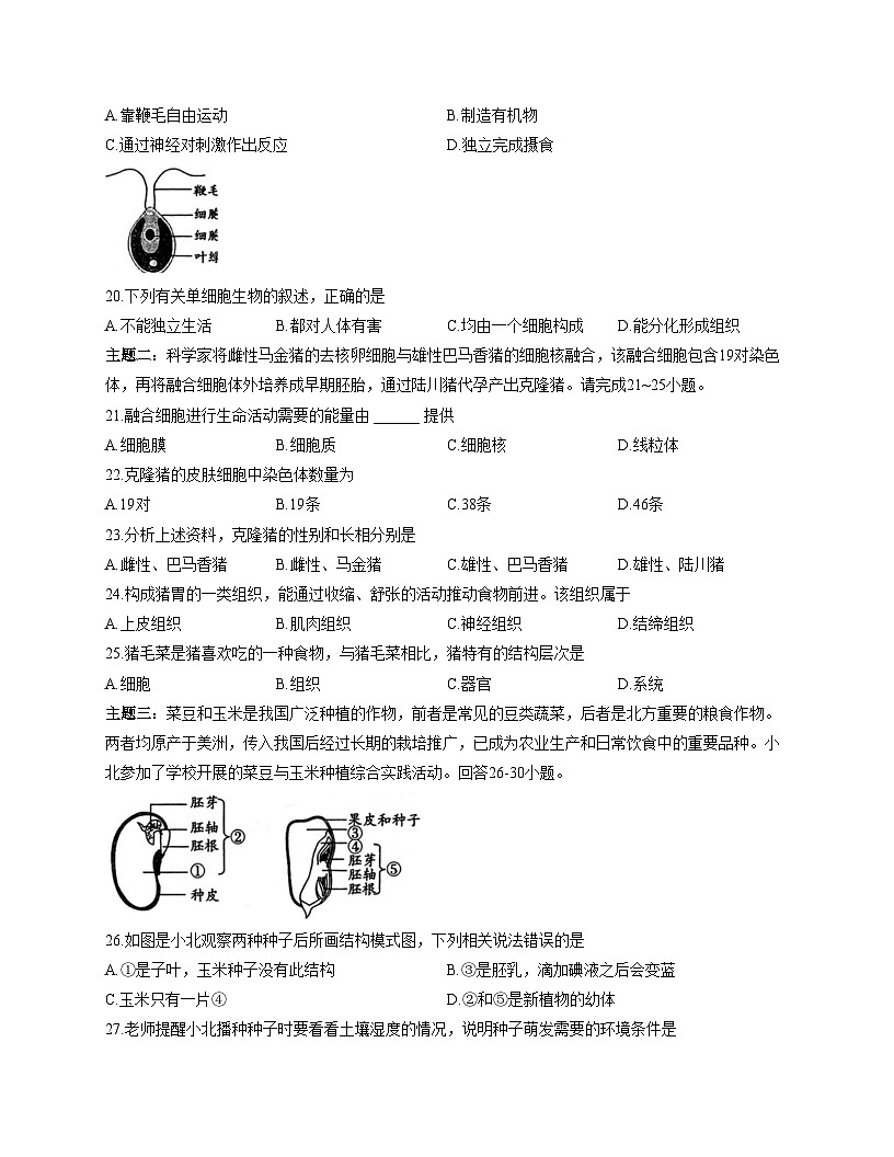 广东省河源市龙川县老隆镇附城中学2025_2026学年七年级上学期期中考试生物试题（文字版，含答案）第3页
