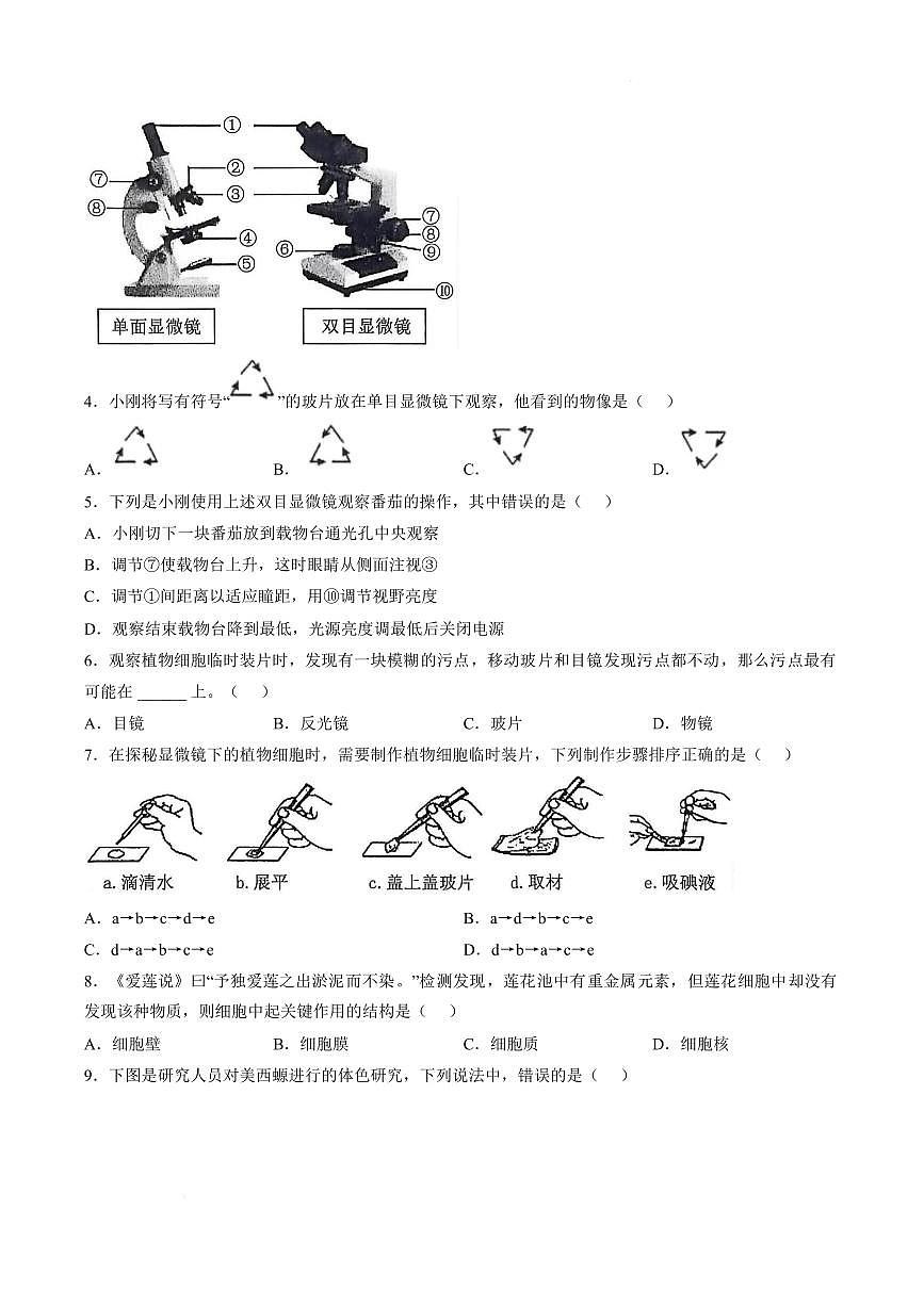 山东德州市禹城市2025～2026学年第一学期期末教学质量检测七年级生物学试题含 答案第2页