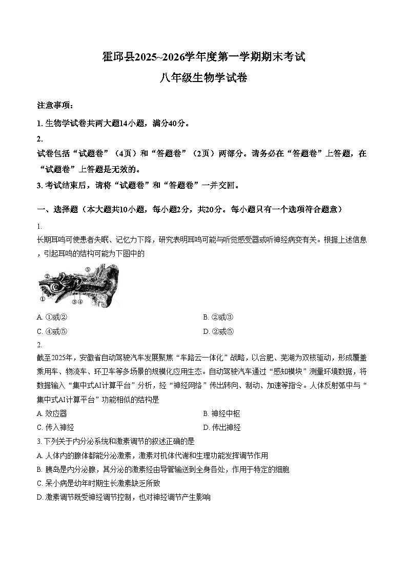 安徽省六安市霍邱县2025_2026学年度第一学期期末考试八年级生物学试卷（文字版，含答案）第1页