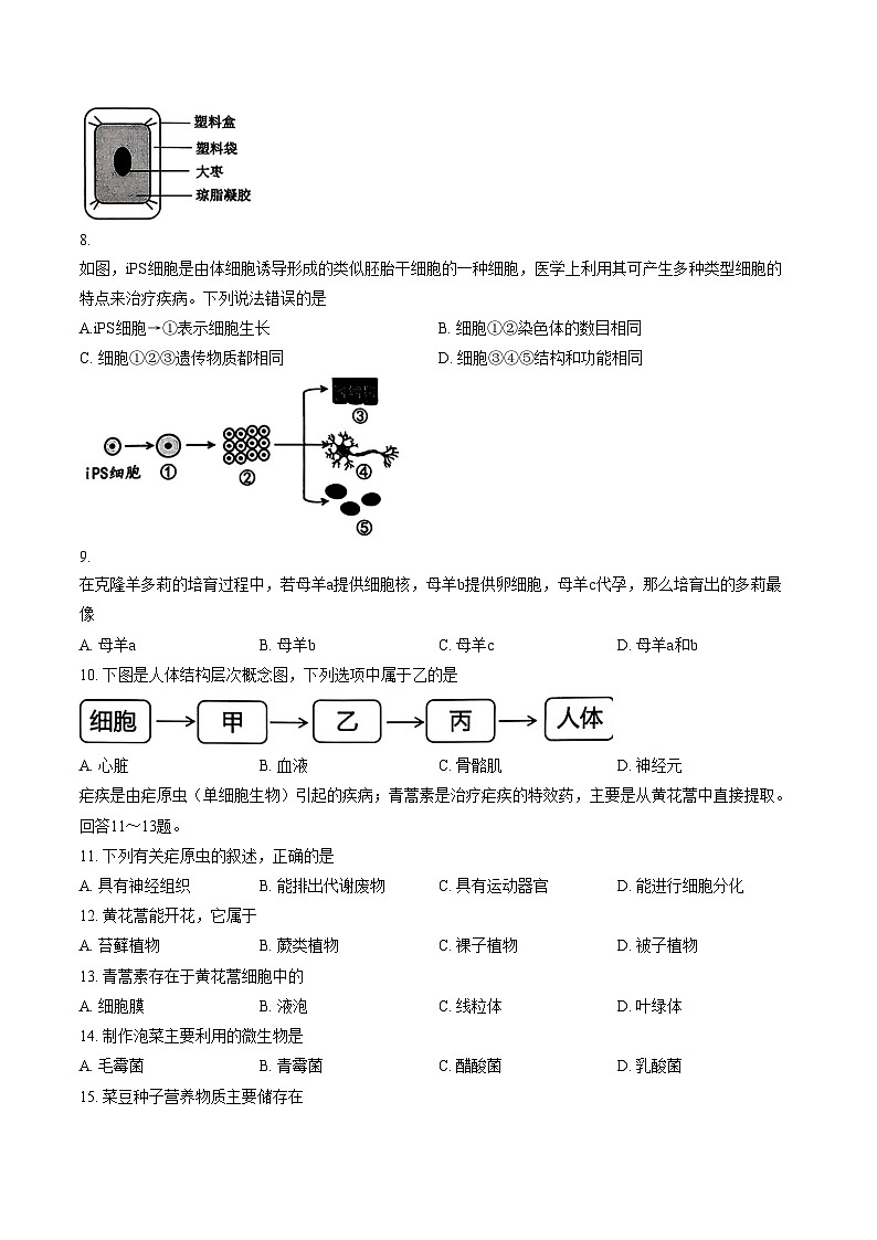 2025_2026学年福建省漳州市长泰区七年级上学期期末考试生物学试卷（文字版，含答案）第2页