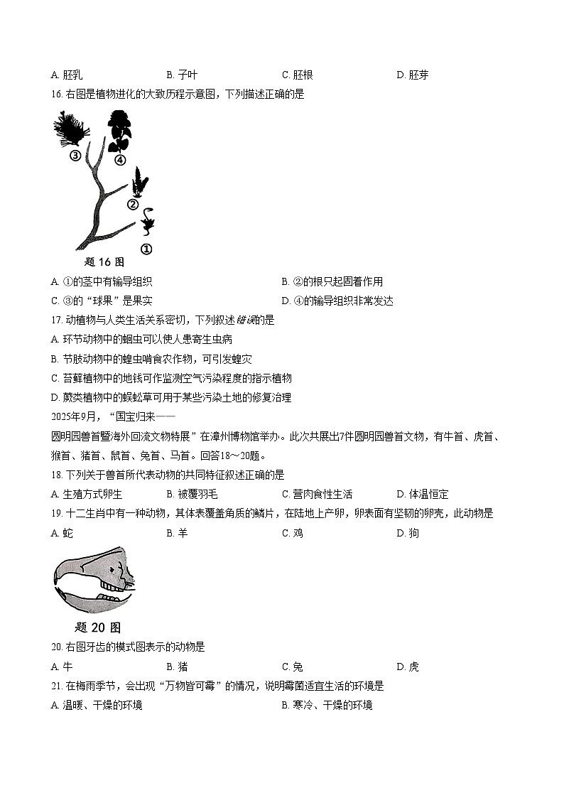 2025_2026学年福建省漳州市长泰区七年级上学期期末考试生物学试卷（文字版，含答案）第3页