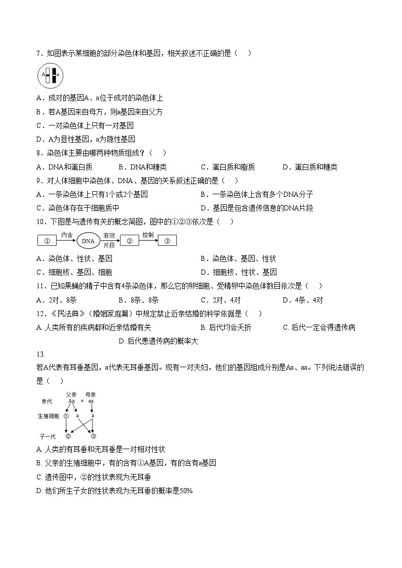 江西宜春市丰城市第九中学2025_2026学年八年级上学期期末检测生物试题（A卷）（文字版，含答案）第2页