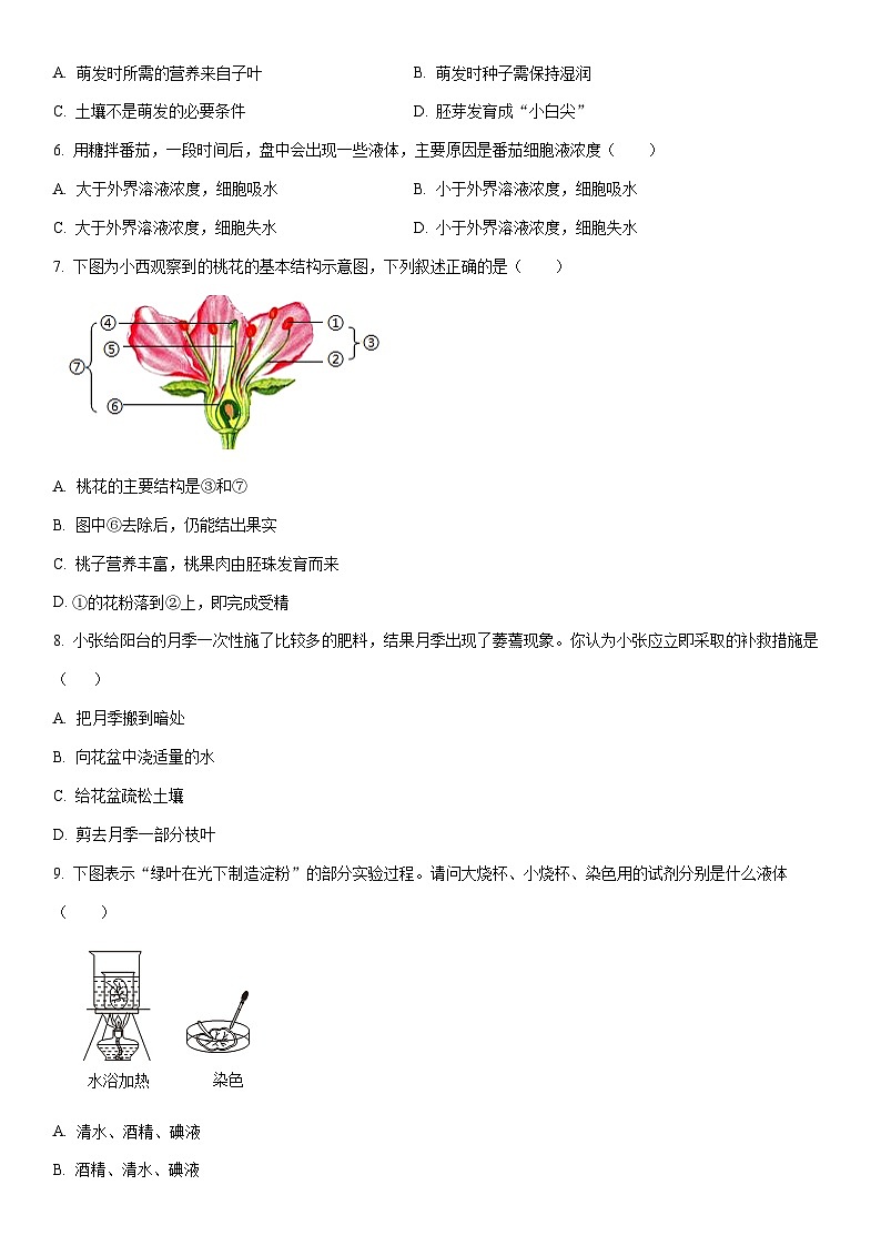 2025-2026学年广西防城港市上思县八年级上学期期末生物试卷（学生版）第2页