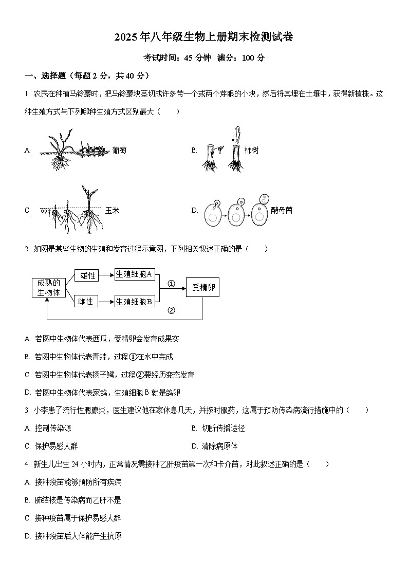 2025-2026学年湖北省恩施州八年级上学期期末生物试卷（学生版）第1页