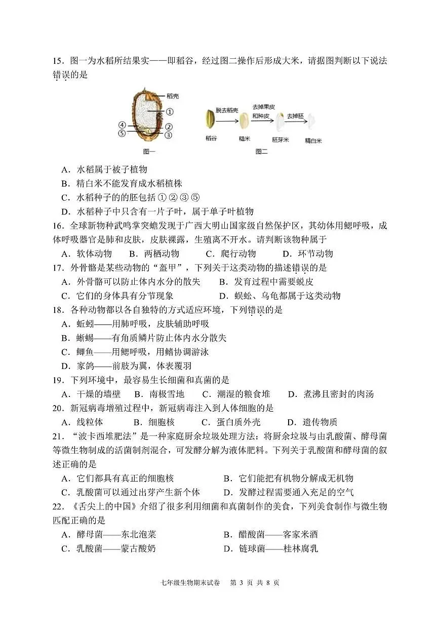 福建漳州市第一中学2025-2026学年上学期期末学情调研七年级生物学试题含答案第3页
