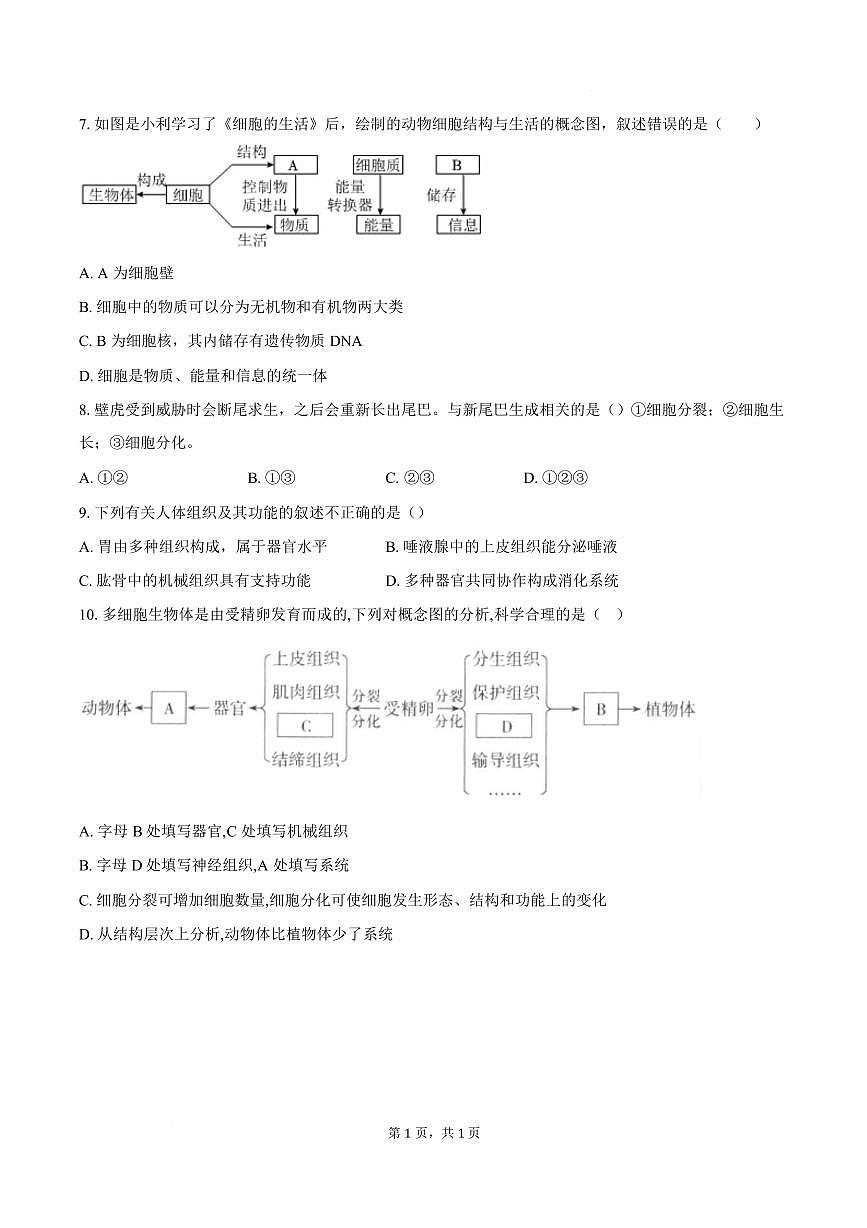 安徽池州市东至县部分学校2025-2026学年七年级上学期期末生物试题含答案第2页