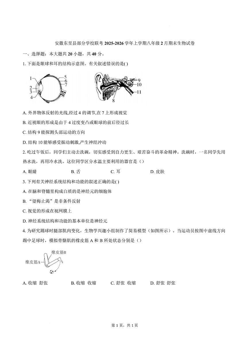 安徽池州市东至县部分学校2025-2026学年八年级上学期期末生物试题含答案第1页