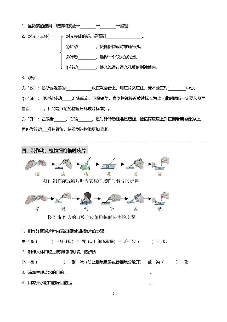 中考第一轮复习生物重要识图填空速记50个练习含答案第2页