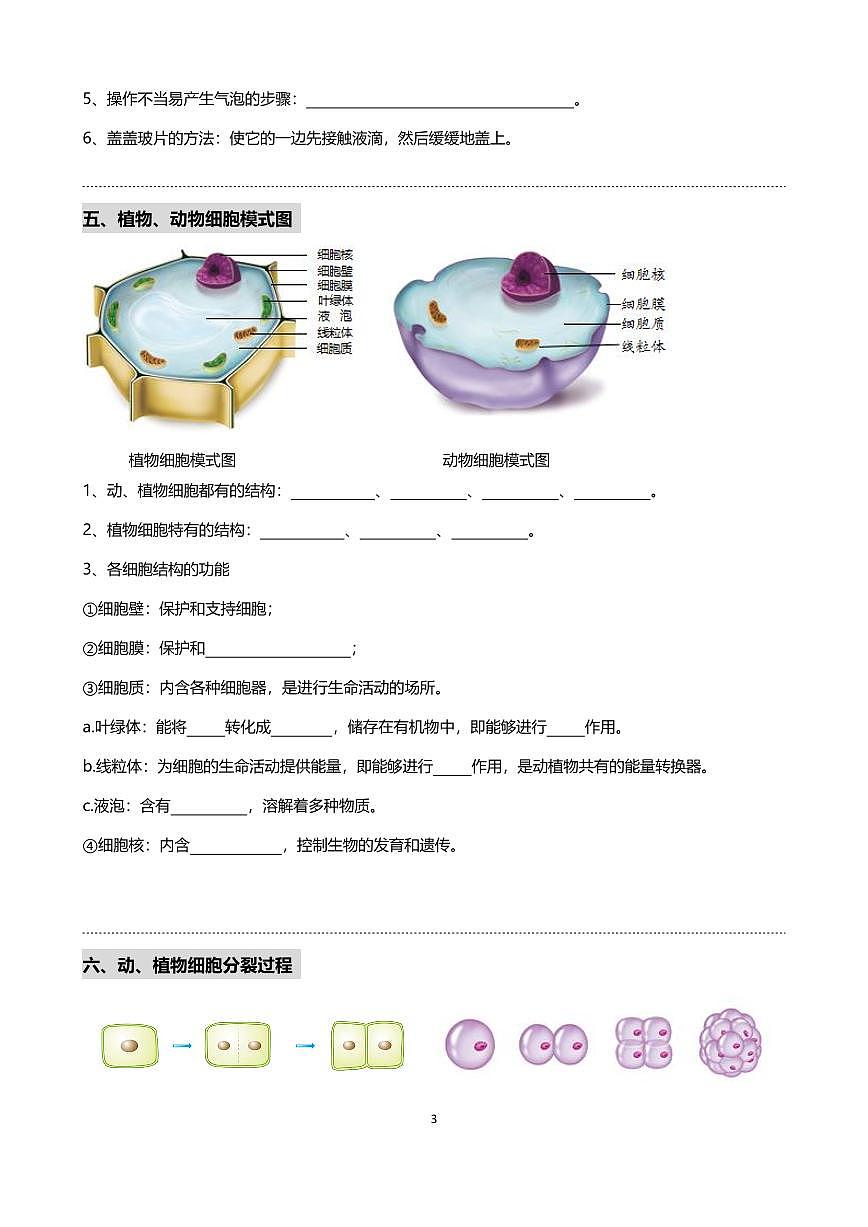 中考第一轮复习生物重要识图填空速记50个练习含答案第3页