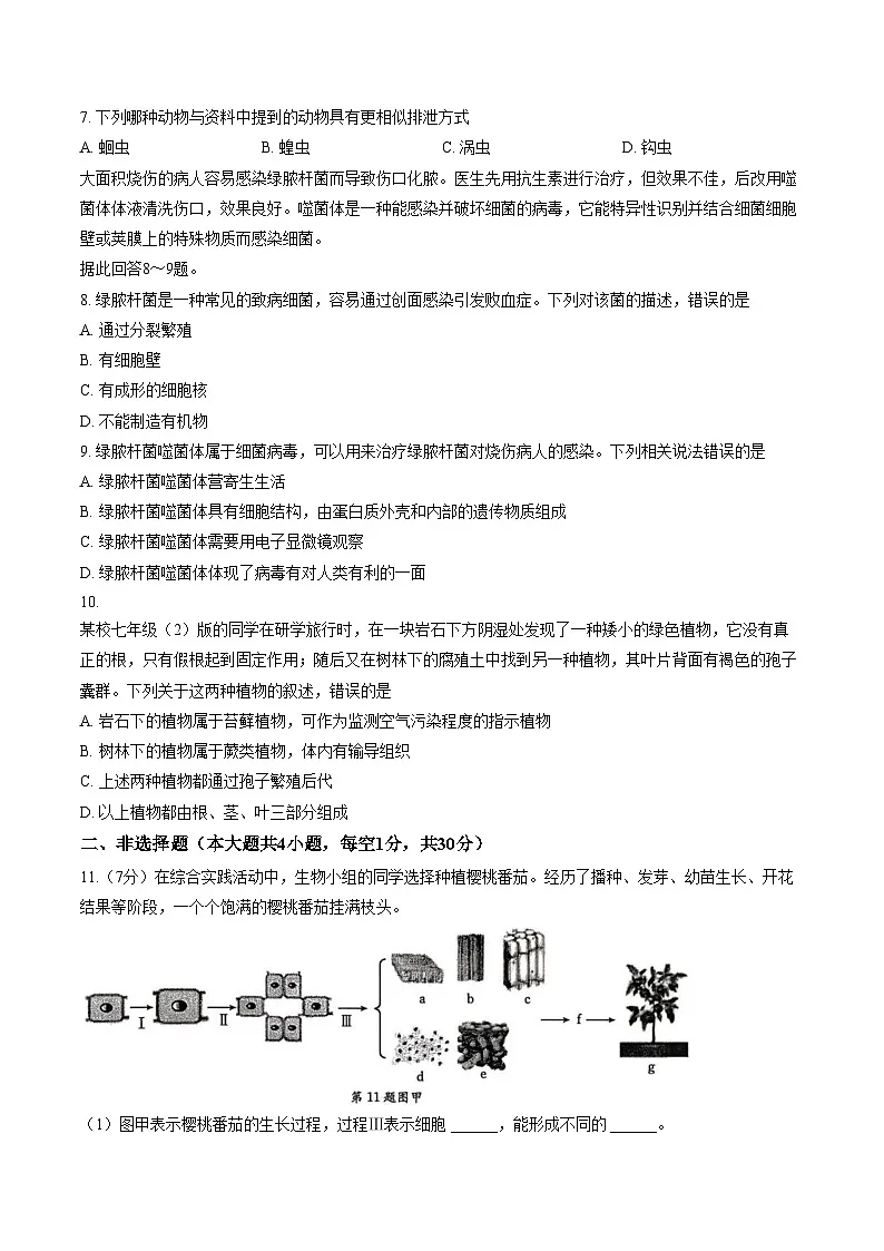 湖北省鄂州市2025_2026学年七年级上学期1月期末生物试题(文字版含答案)第2页