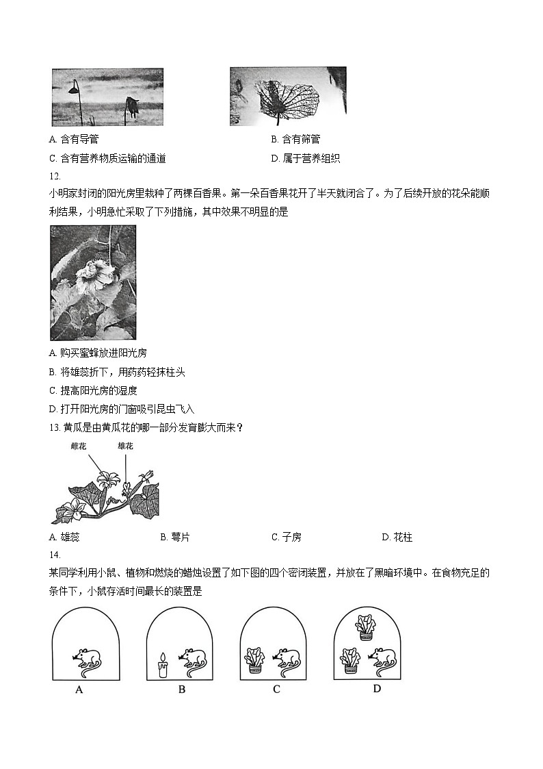 河北省保定市莲池区2025_2026学年八年级上学期1月期末生物试题（文字版，含答案）第3页