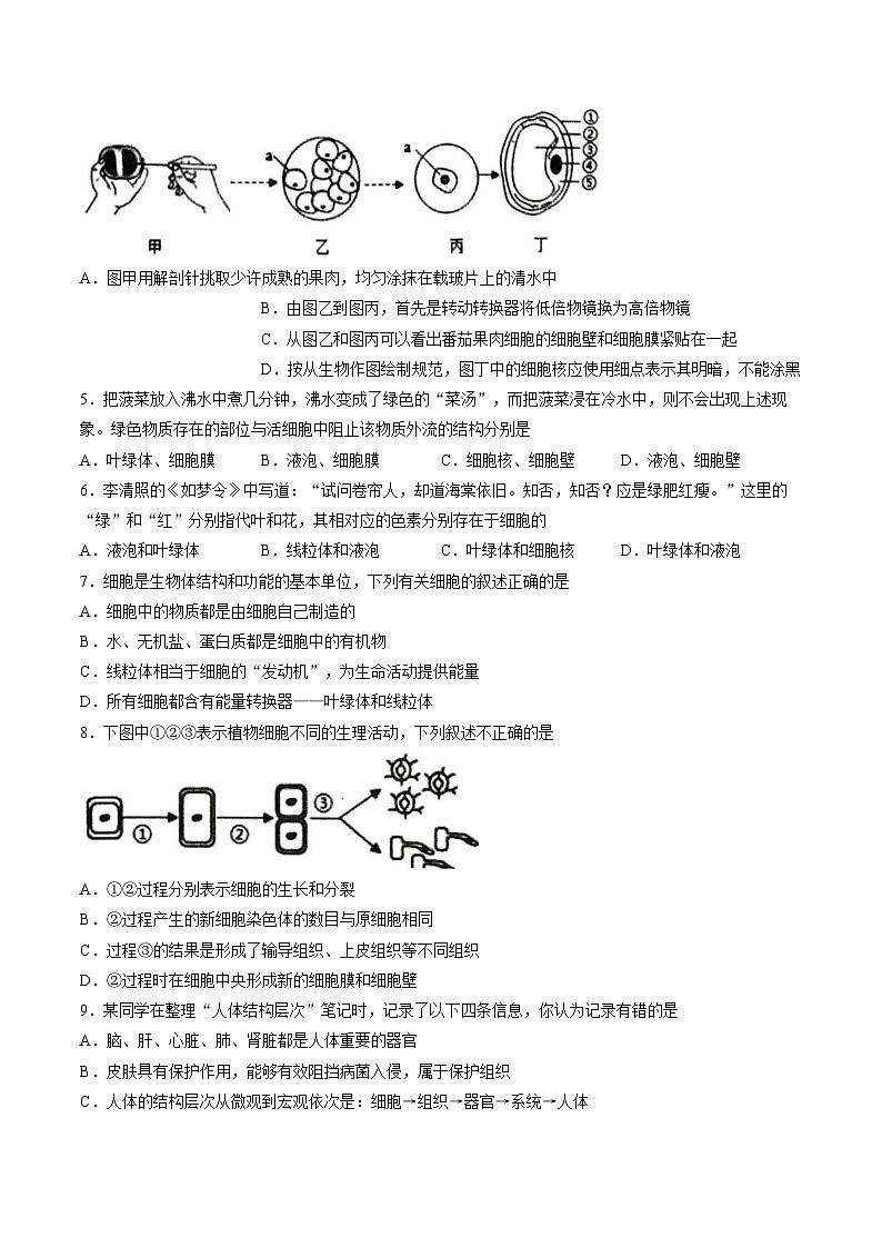 四川省宜宾市长宁县2025_2026学年七年级上学期1月期末生物试题（文字版，含答案）第2页