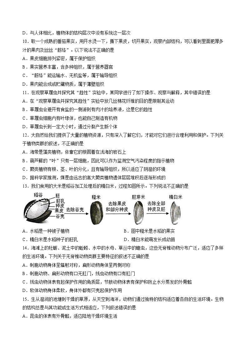 四川省宜宾市长宁县2025_2026学年七年级上学期1月期末生物试题（文字版，含答案）第3页