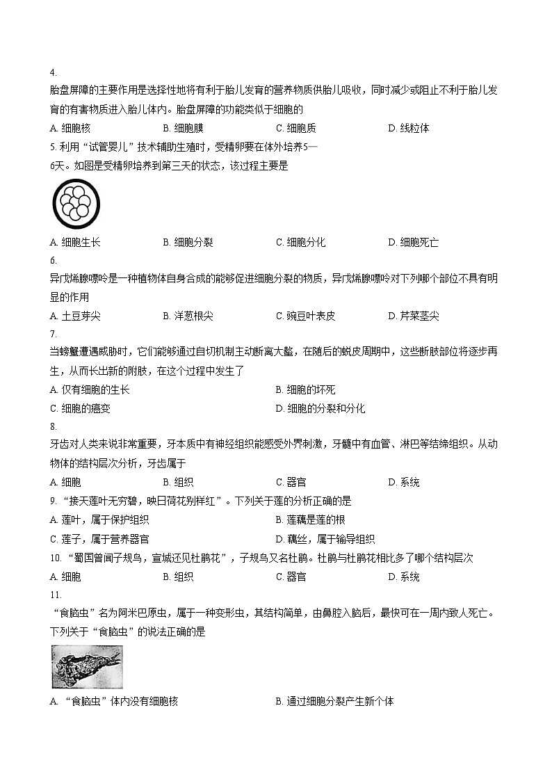 湖南省怀化市洪江市2025_2026学年七年级上册期末生物卷(文字版含答案)第2页