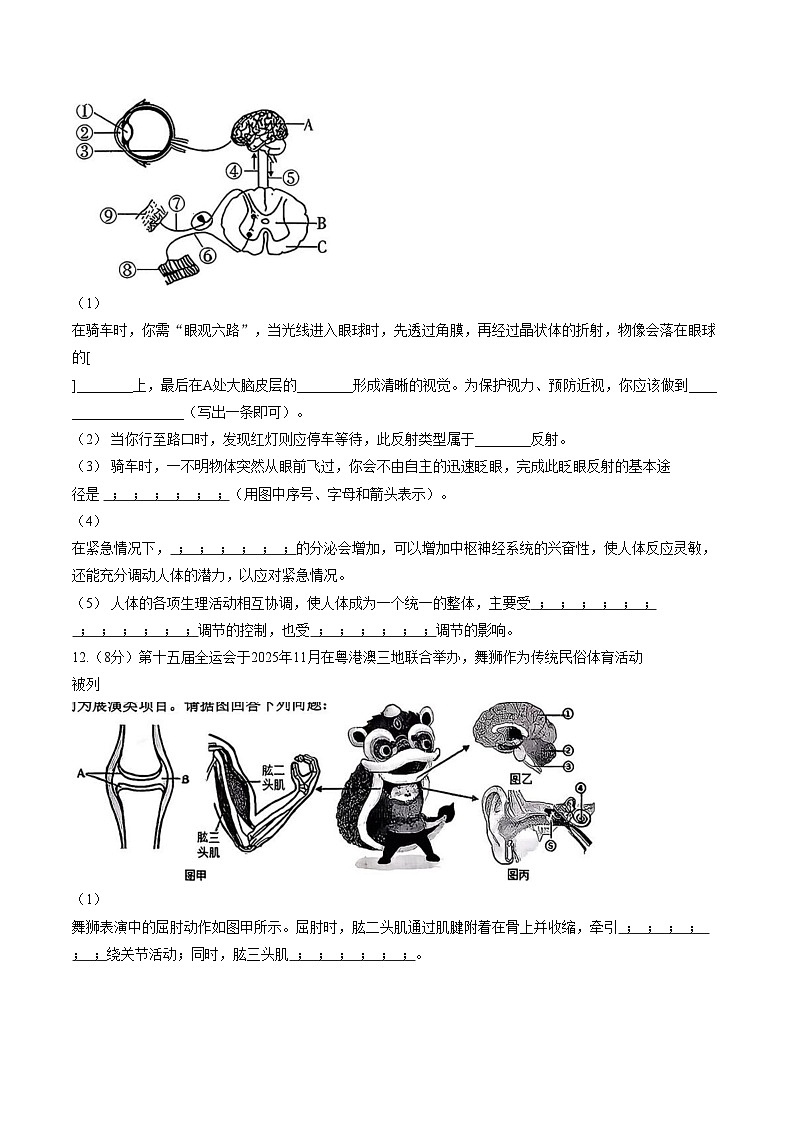 湖北省荆州市监利市2025_2026学年八年级上学期1月期末生物试题(文字版含答案)第3页