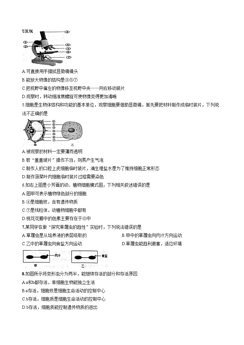 广东省梅州市五华县2025_2026学年度第一学期七年级期末生物考试卷（文字版，含答案）第2页