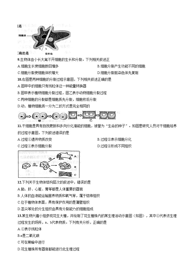 广东省梅州市五华县2025_2026学年度第一学期七年级期末生物考试卷（文字版，含答案）第3页