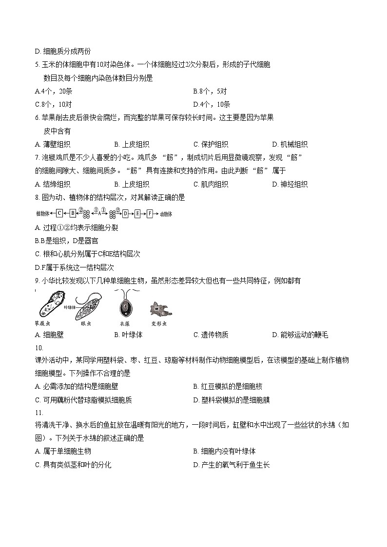 山西省吕梁孝义市2025_2026学年第一学期期末学业水平质量监测七年级生物试卷 （文字版，含答案）第2页