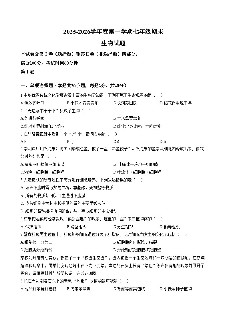山西省临汾市尧都区2025_2026学年第一学期期末七年级生物试卷 （文字版，含答案）第1页