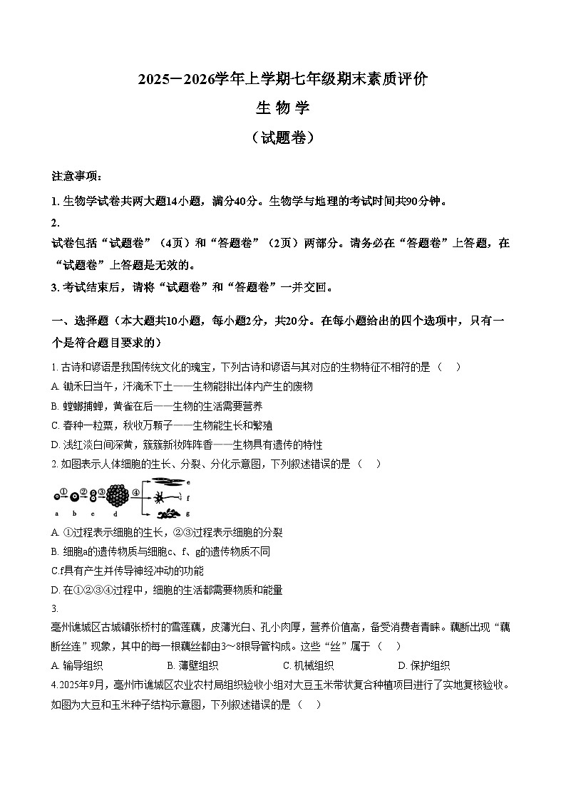 安徽省亳州市涡阳县2025_2026学年第一学期七年级期末生物试题(文字版含答案)第1页
