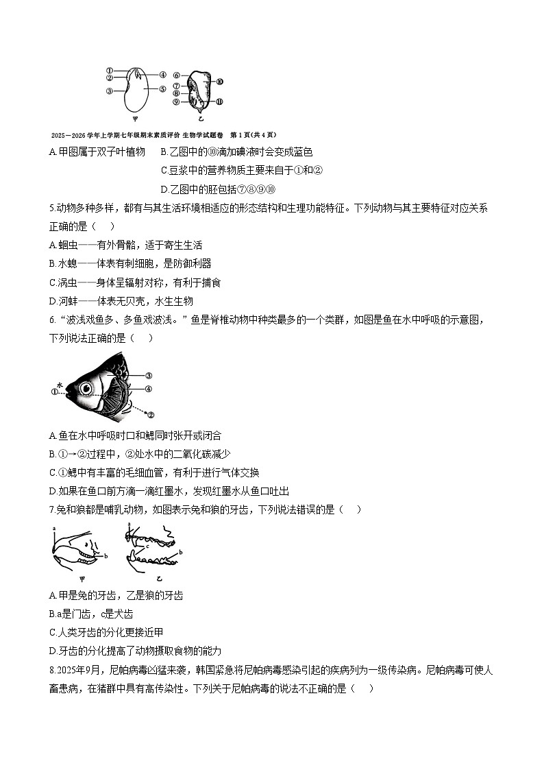 安徽省亳州市涡阳县2025_2026学年第一学期七年级期末生物试题(文字版含答案)第2页