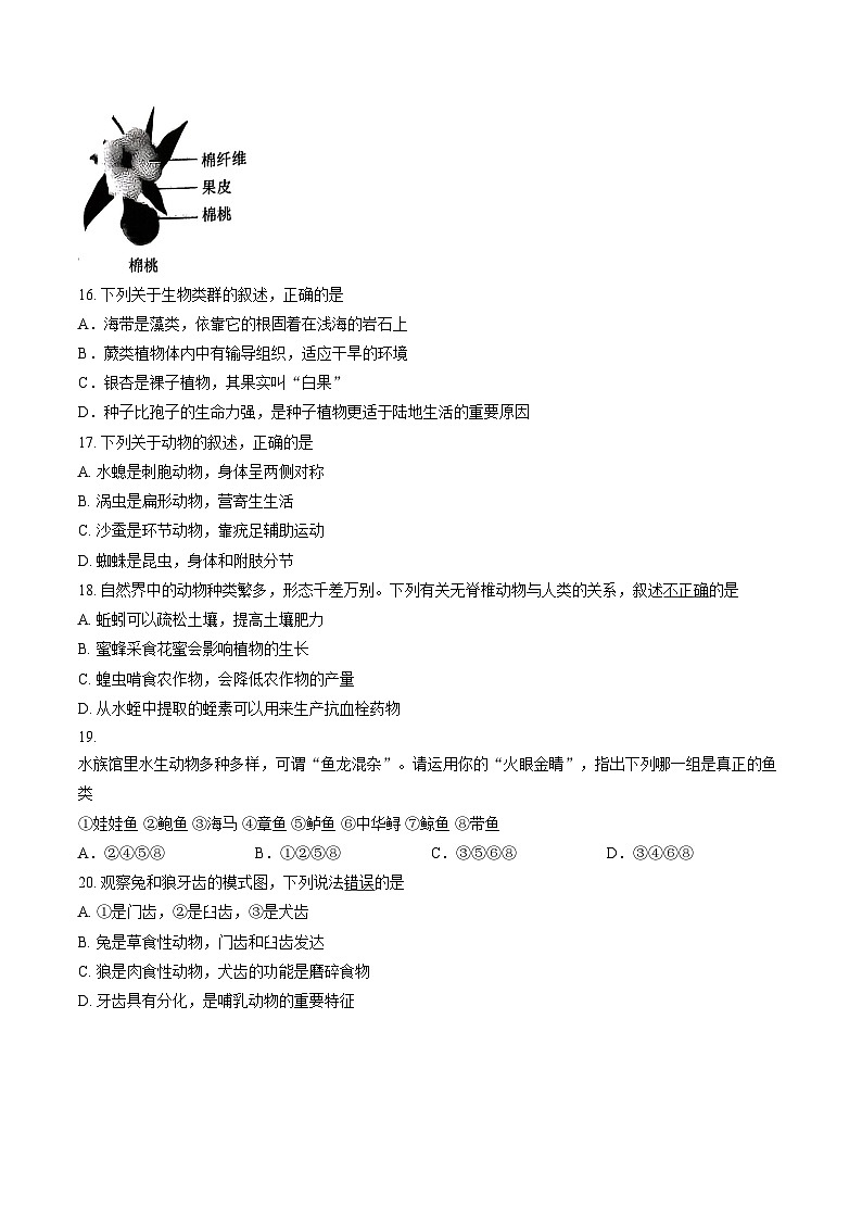 2025—2026学年福州市福清市七年级上学期校内期末考生物学试卷 （文字版，含答案）第3页