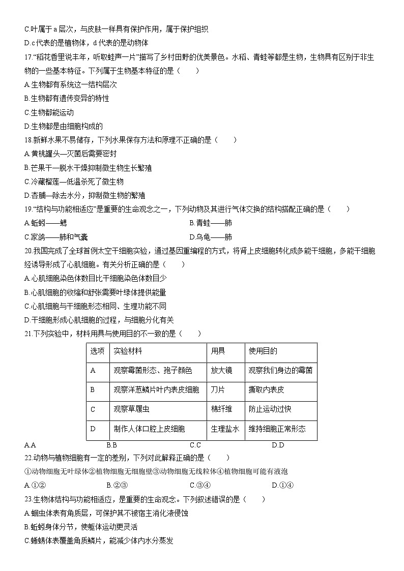 2025-2026学年陕西省榆林市榆阳区七年级上学期期末考试生物试卷（学生版）第3页