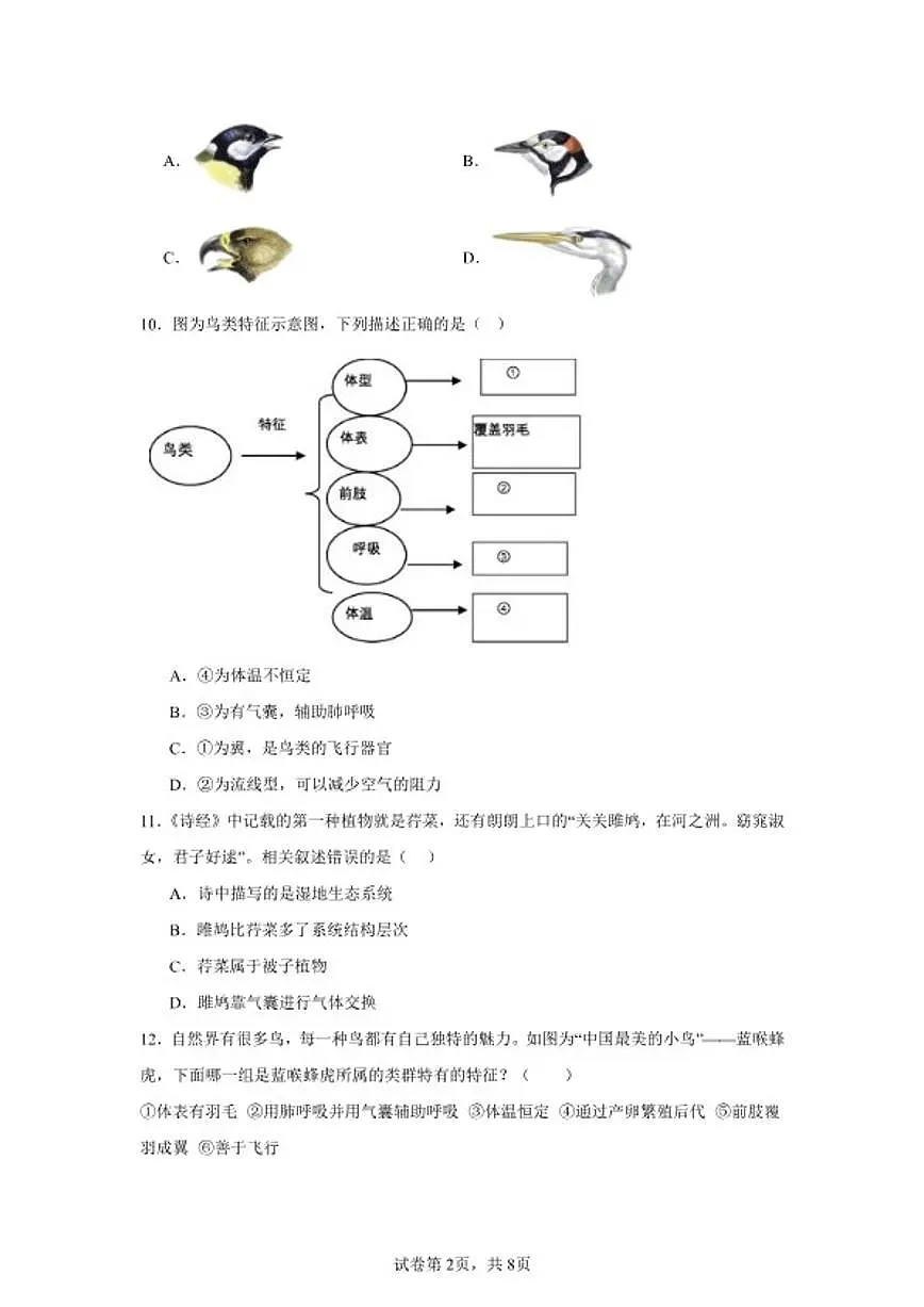 2025-2026学年七年级生物上册新人教版2.2.2脊椎动物（三）鸟和哺乳动物作业练习题（含答案）第2页