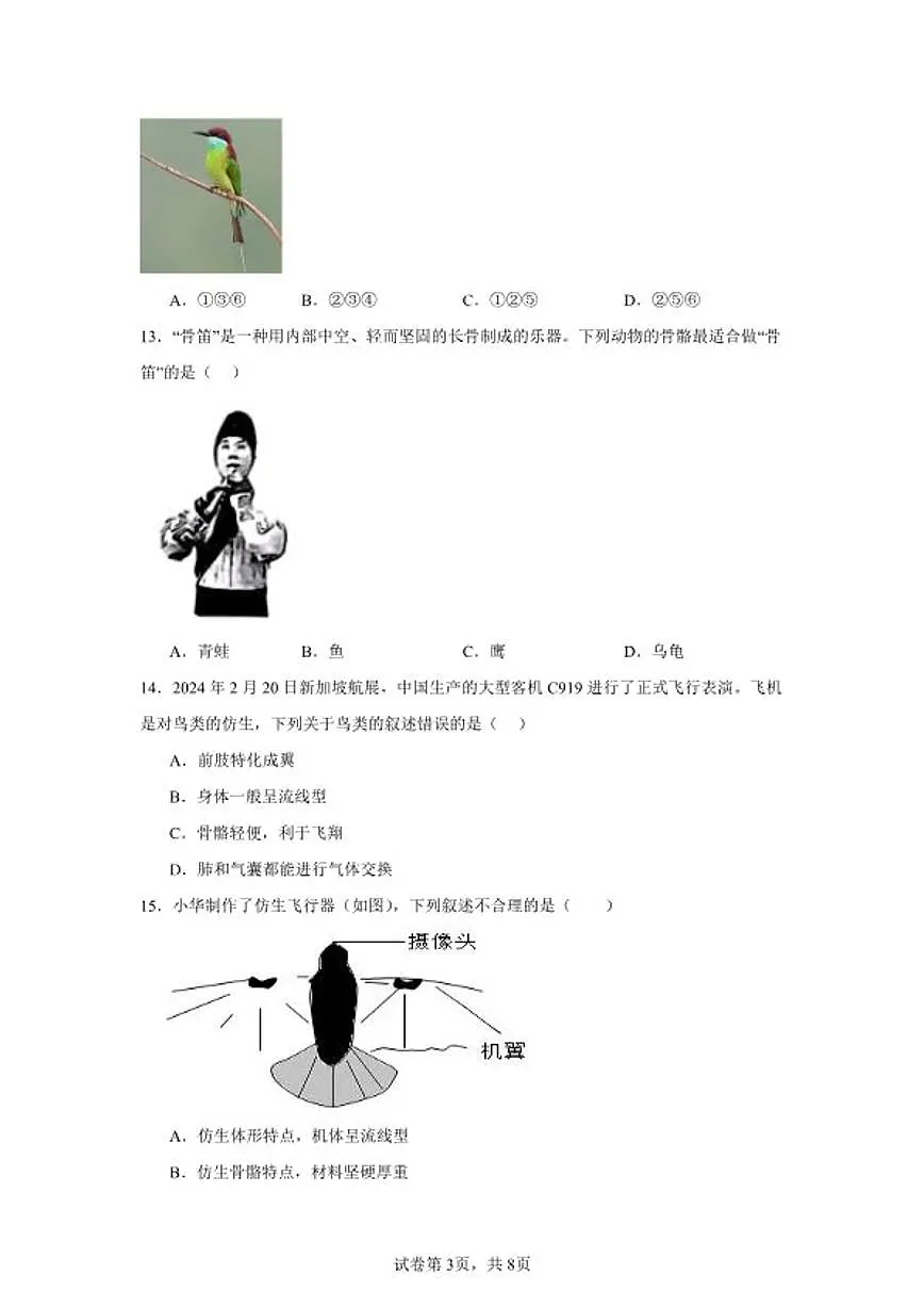 2025-2026学年七年级生物上册新人教版2.2.2脊椎动物（三）鸟和哺乳动物作业练习题（含答案）第3页