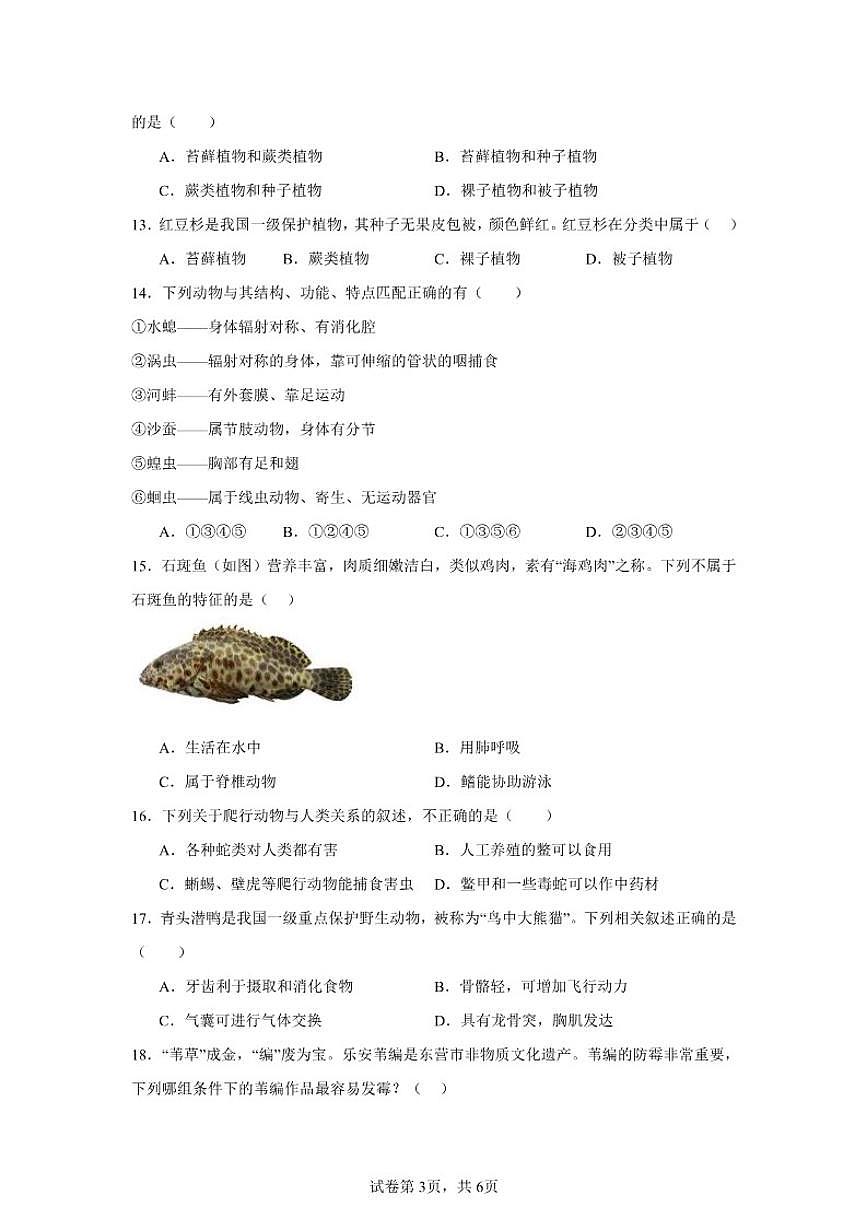 2025-2026学年七年级上学期生物1月月考练习题（含答案）第3页