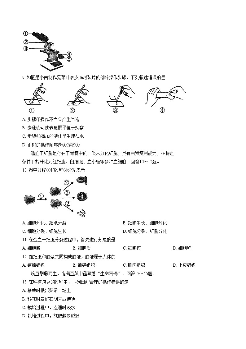 2025_2026学年福建省泉州市南安市七年级上学期期末考生物学试题（文字版，含答案）第2页