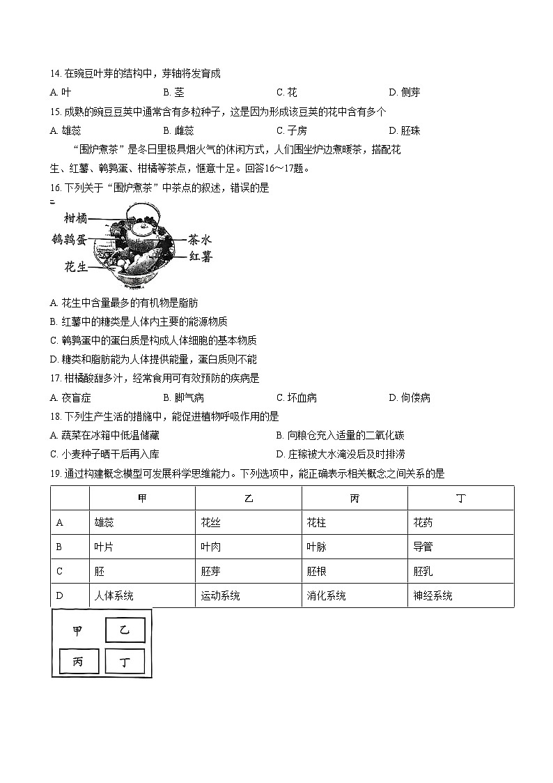 2025_2026学年福建省泉州市南安市七年级上学期期末考生物学试题（文字版，含答案）第3页